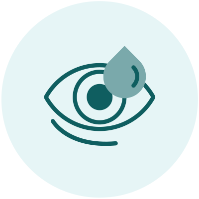 13-icon3
